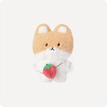 BAEKHYUN [2023 TEO-LAE-GI ZIPDURI] TEO-LAE-GI 20CM&AR VOICE SET